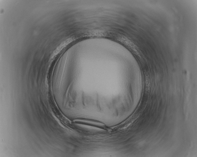 X0000073720674200608311820