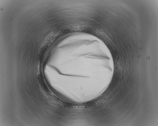 X0000073720694200608311820