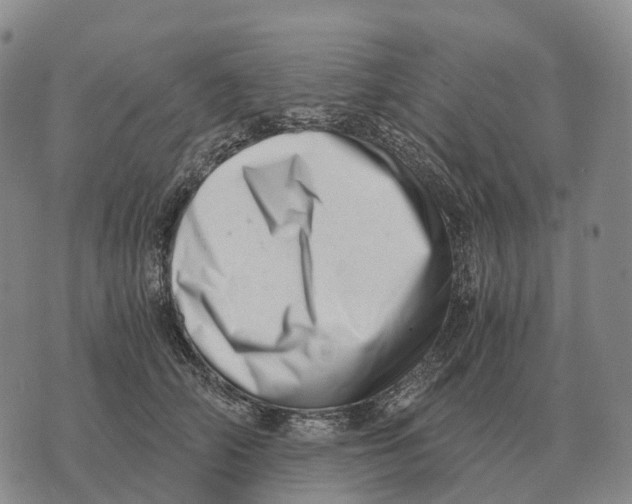X0000073720706200608311820