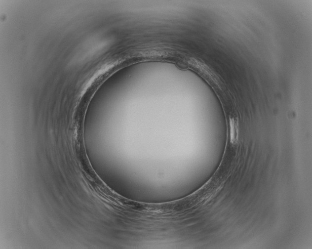 X0000073720723200608311819
