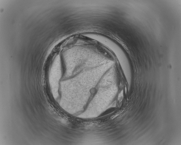 X0000073720724200608311819