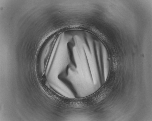 X0000073720728200608311819