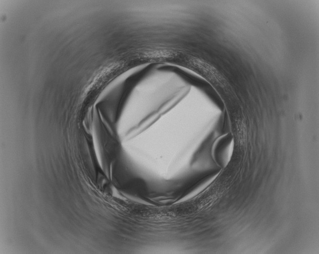 X0000073720731200608311819