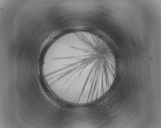 X0000073720734200608311819
