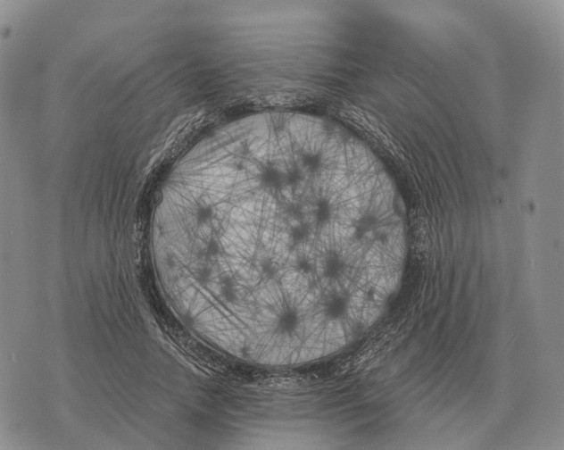 X0000073720738200608311819