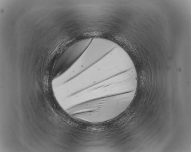 X0000073720739200608311819