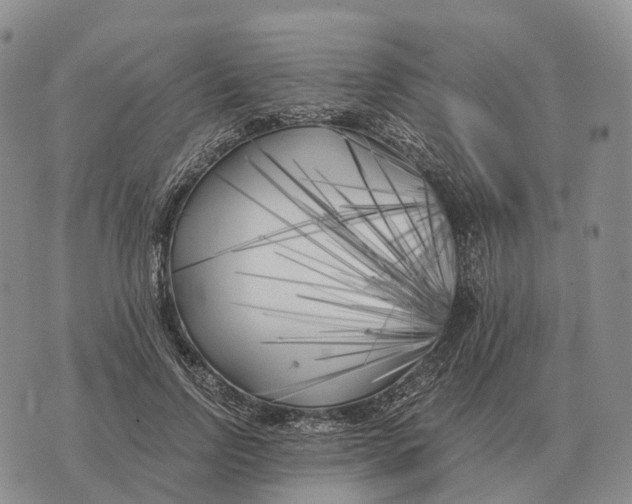 X0000073720742200608311819