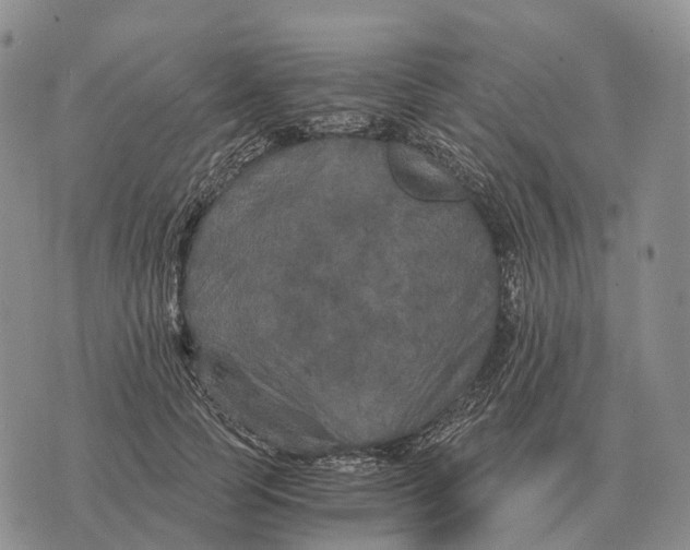 X0000073720745200608311819