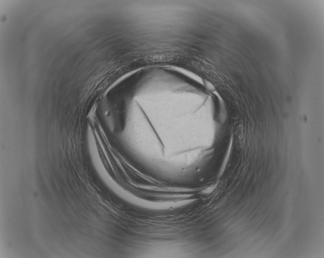 X0000073720746200608311819