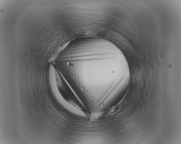 X0000073720748200608311819