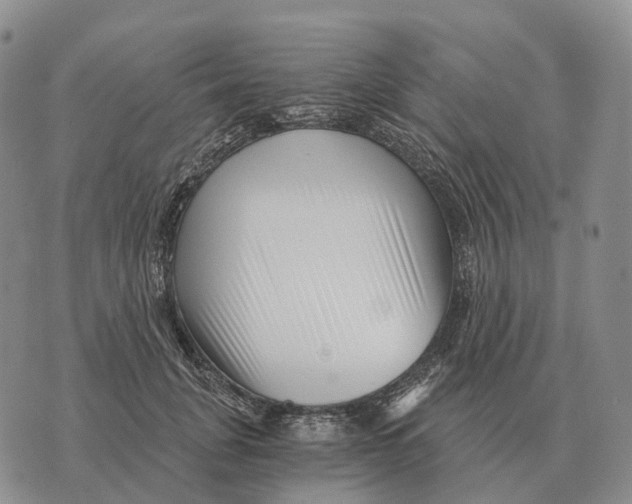 X0000073720751200608311819