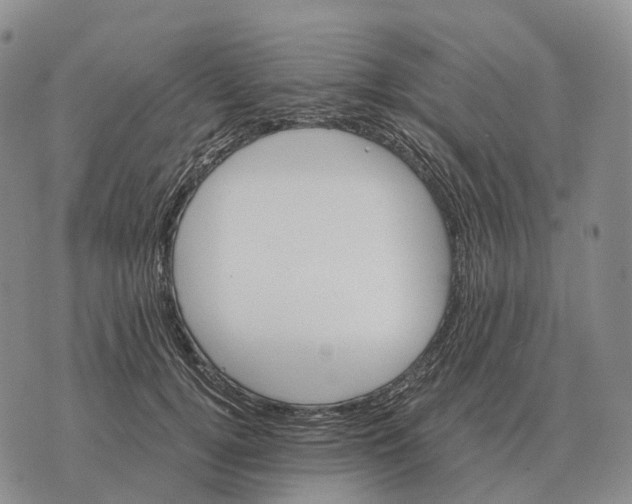 X0000073720752200608311819
