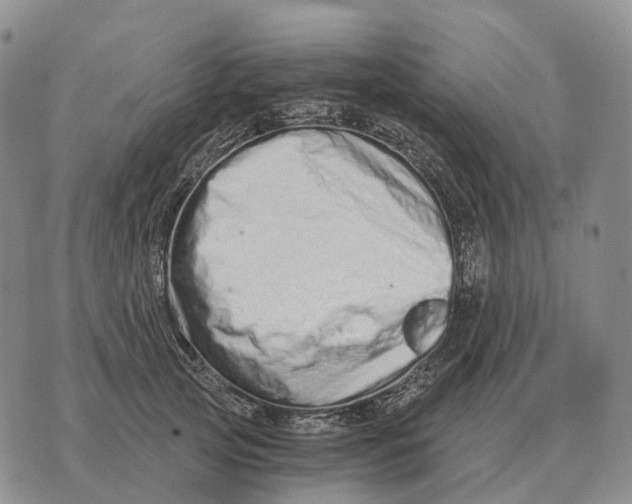 X0000073720753200608311819
