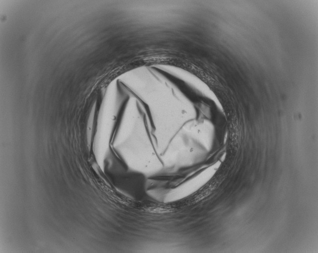 X0000073720755200608311819