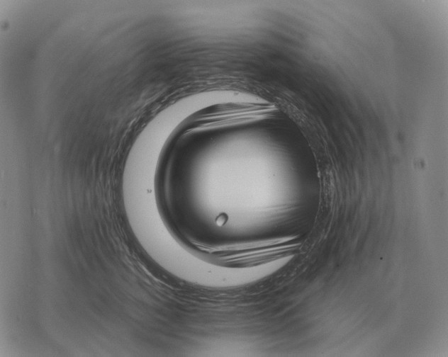 X0000073720760200608311819