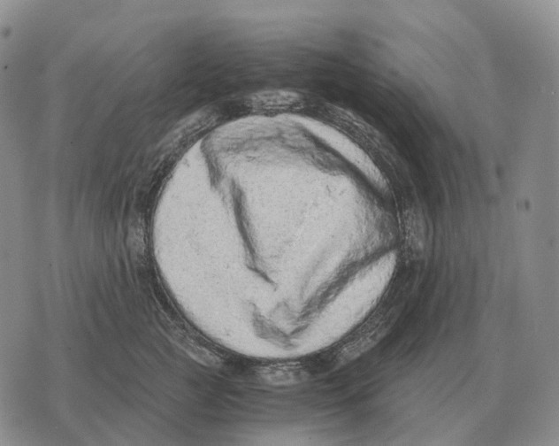 X0000073720761200608311819