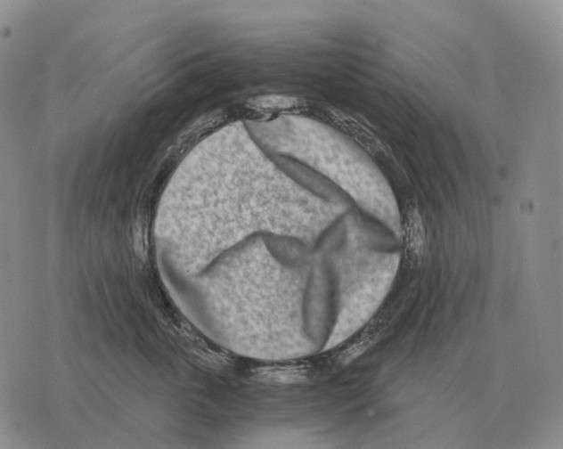 X0000073720763200608311819