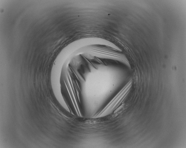 X0000073720764200608311819