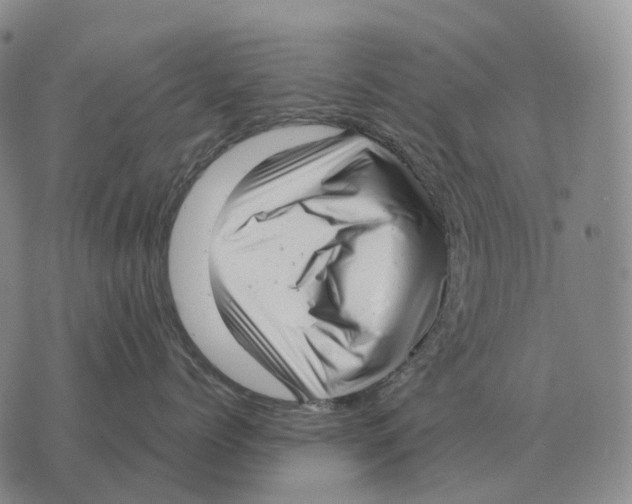 X0000073720768200608311819