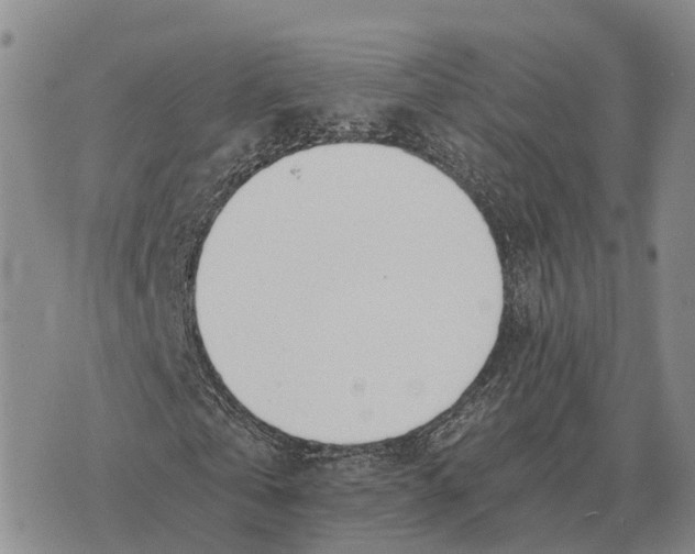X0000073720769200608311819