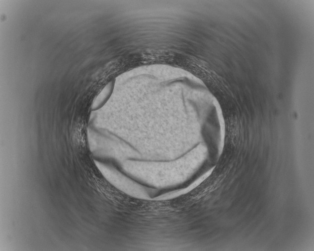 X0000073720770200608311819