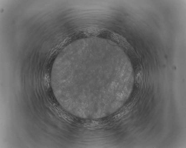 X0000073720772200608311819