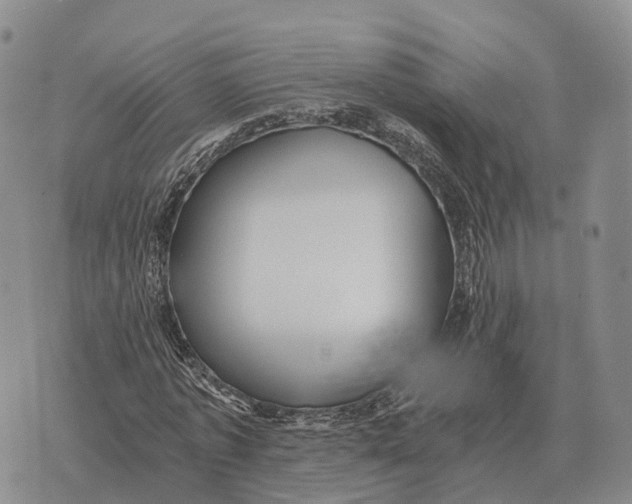 X0000073720773200608311819