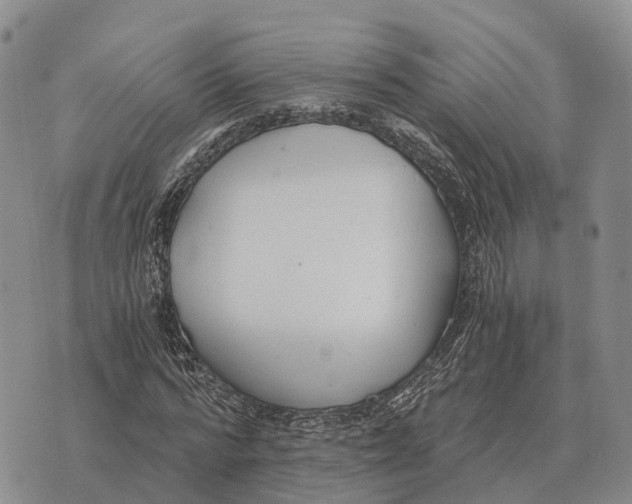 X0000073720776200608311819