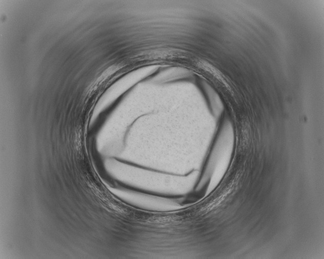 X0000073720778200608311818
