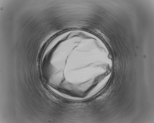 X0000073720779200608311818