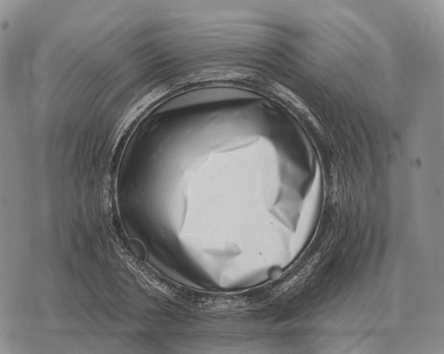 X0000073720786200608311818