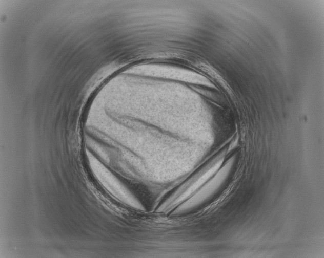 X0000073720787200608311818