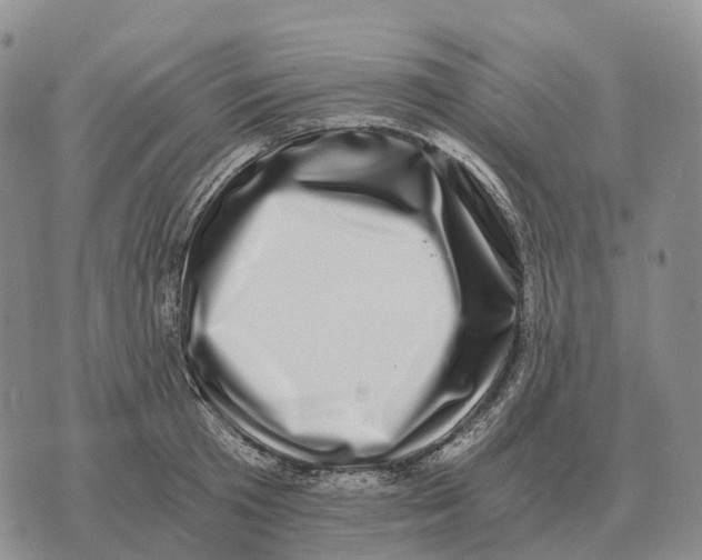 X0000073720801200608311818