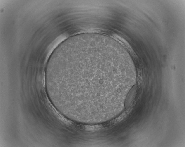 X0000073720804200608311818