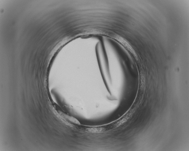 X0000073720805200608311818