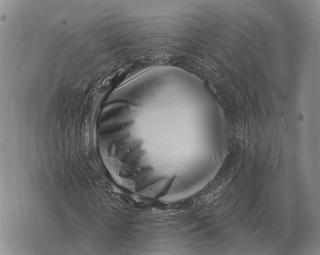 X0000073720818200608311817