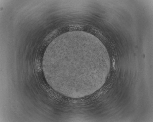 X0000073720819200608311817