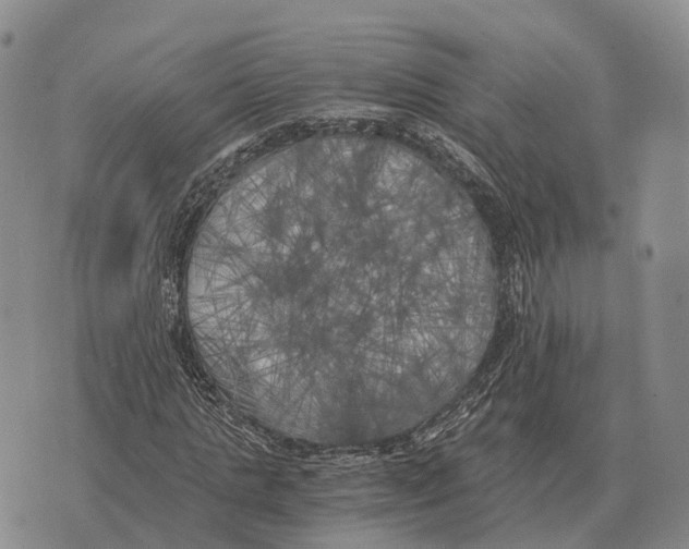 X0000073720821200608311817