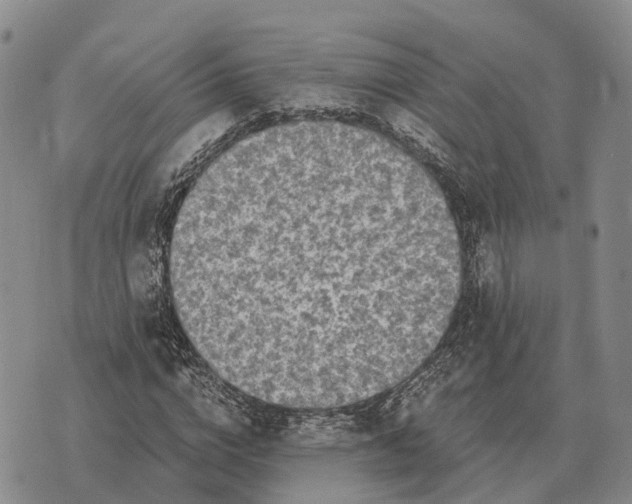 X0000073720824200608311817