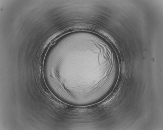 X0000073720829200608311817