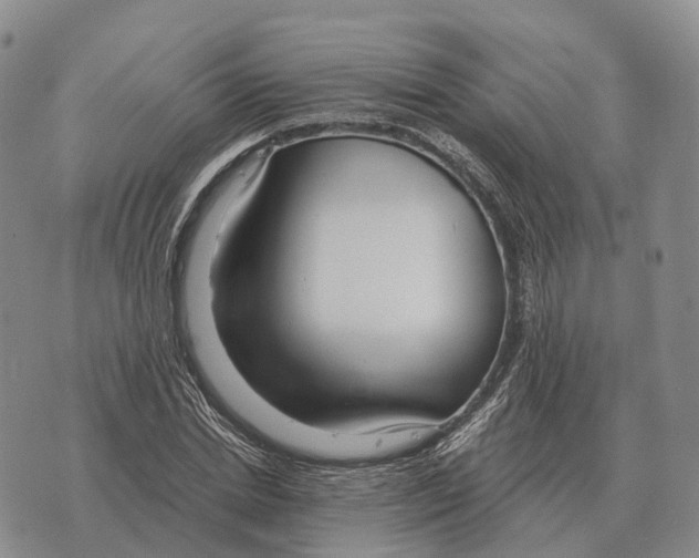 X0000073720830200608311817