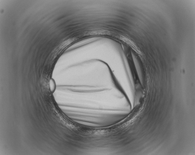 X0000073720841200608311817