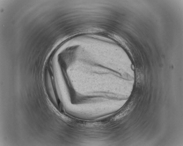 X0000073720843200608311818