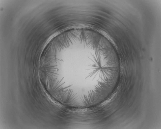 X0000073720845200608311818