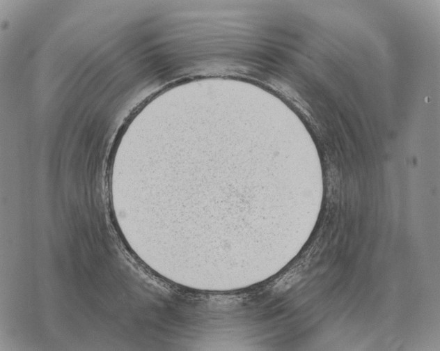 X0000073720848200608311818