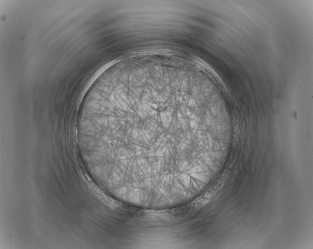 X0000073720852200608311818