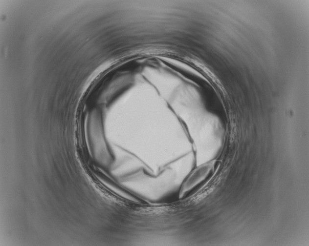 X0000073720853200608311818