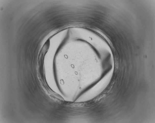 X0000073720861200608311818