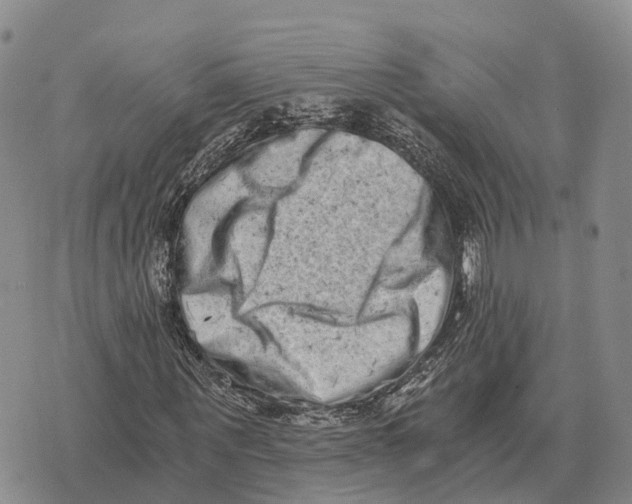 X0000073720867200608311817