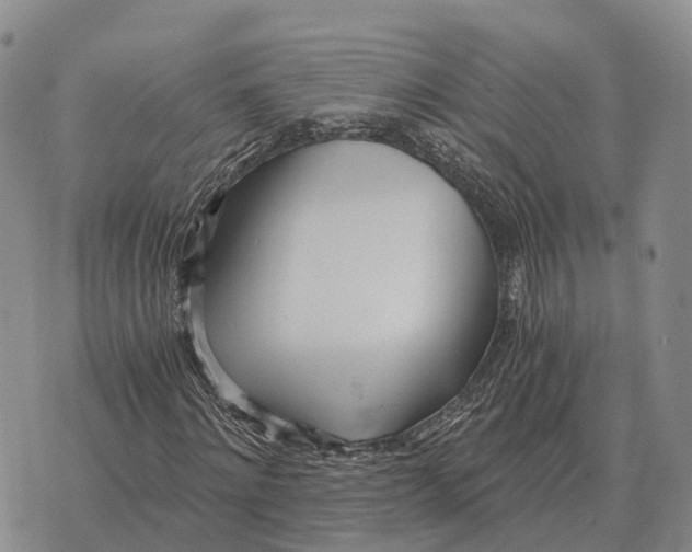X0000073720868200608311817